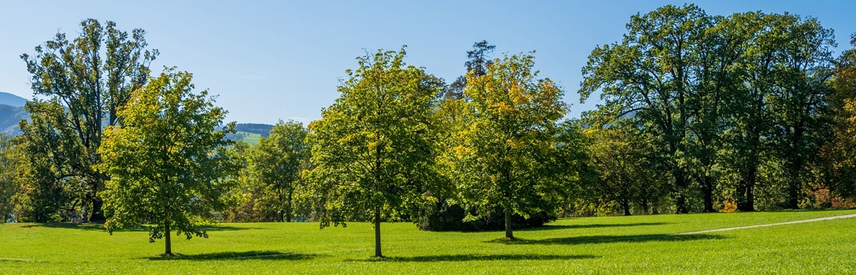 vendre rapidement terrain suisse